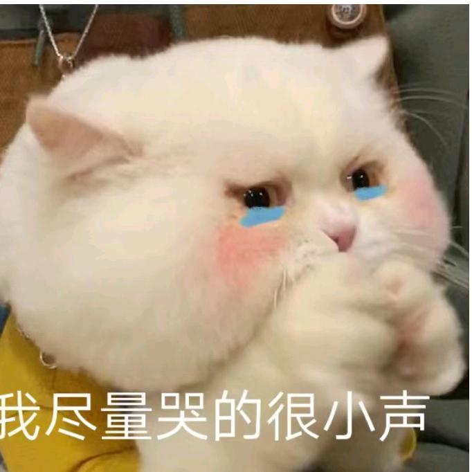 仙剑纯音乐      胖子就是矫情 时长 59秒 2.2w 人使用