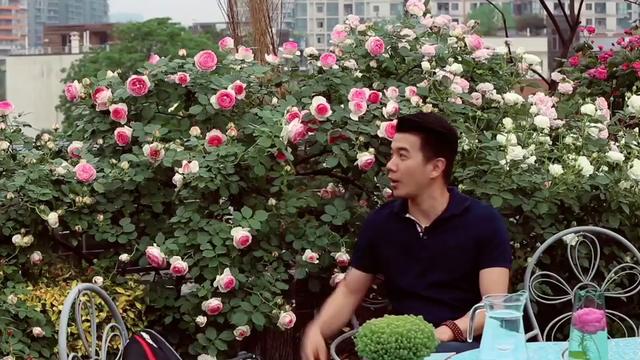 爱种花的王大爷 - #王大爷带你学种花 网红欧月龙沙宝石,每个女生都