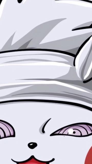 花二轮同学的个人资料